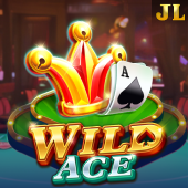 Wild Ace casino plus slot
